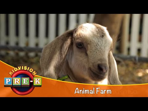 A Visit to an Animal Farm - Easy Vocabulary