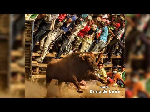 Chivo Mono. Super Banda de Colomboy