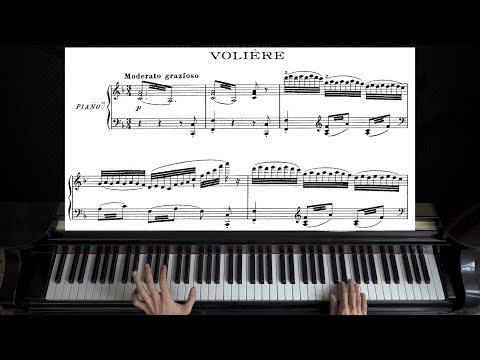 Saint-Saëns - Volière (Aviary) | The Carnival of the Animals