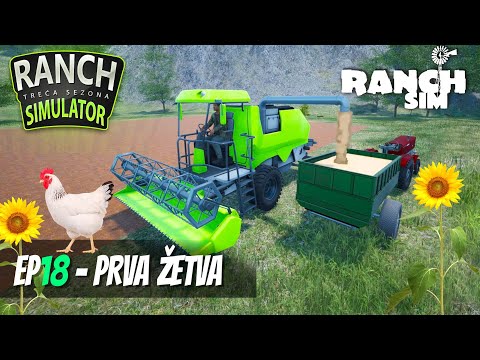 POČELA ŽETVA PŠENICE NA RANČU! *Ranch Simulator* S3EP18