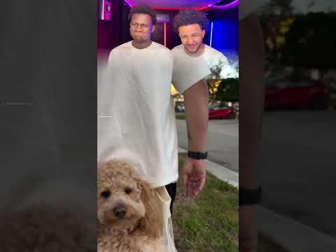 PART 925 | 😂TU RIGOLES😂 , TU RECOMMENCE ...🔄 LA FIN ...😲💦#funny #reaction #trynottolaugh