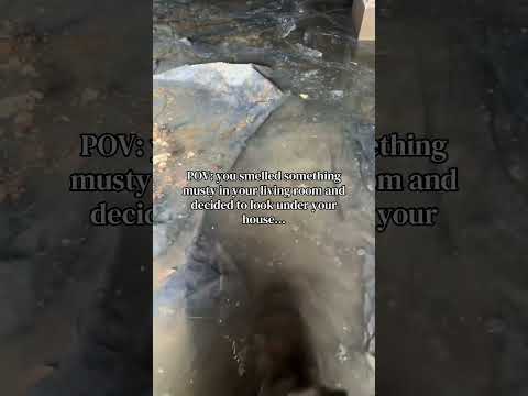 What's REALLY under your living room floor?