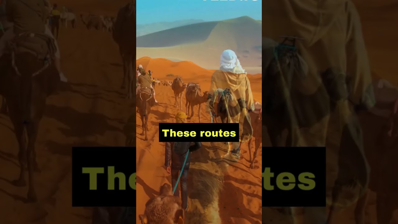 Exploring the Legacy of the Trans Saharan Trade Routes