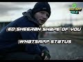 Ed Sheeran Shape Of You Whatsapp Status