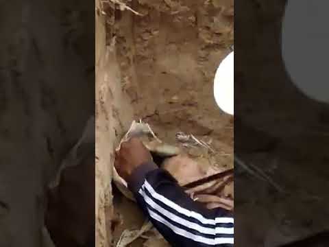 download lagu mp3 mp4 Penemuan Keris Dalam Batu, download lagu Penemuan Keris Dalam Batu gratis, unduh video klip Penemuan Keris Dalam Batu