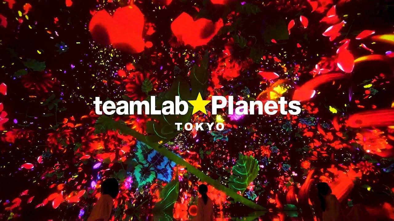 teamLab Planets TOKYO / チームラボ プラネッツ TOKYO DMM.com thumnail