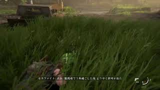 アビーにも色々あった；；