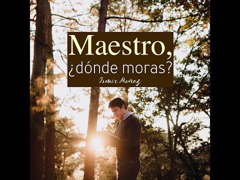 Maestro, ¿Dónde Moras? - Ismir Muñoz