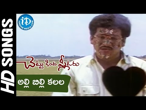 Alli Billi Kalala Raave Video Song - Chettu Kinda Pleader Movie || Rajendra Prasad || Urvashi