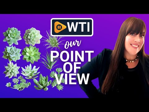 Supla Artificial Succulents - WTI product video review