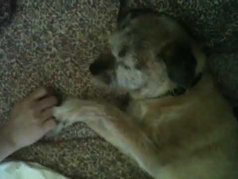 Go away. Let me sleep!