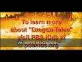 Dragon Tails Funding 2002 Trial 0