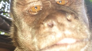 Welcome to the Family Junior