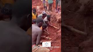 Download lagu 🐟 Africans Dig Desert Soil for Lungfish 🏜️😱 #trending #african #facts mp3