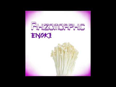 Rhizomorphic - Enoki