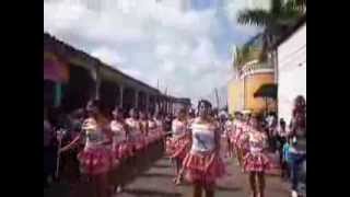 preview picture of video 'C. E. C. Juan XXIII Desfile 15-sept-2013 by Mario Diaz'