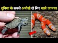 वैज्ञानिक भी हैरान हैं इन्हें देखकार�