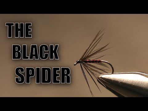 The Black Spider