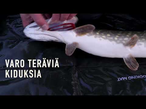 Koukun irroitus hauen suusta. Ohjeistus vasta-alkajille.