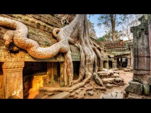 PLEXIGO @ Plasma [Twilight Forest Psytrance] • Closing DJ-Set • Tanzhaus West, Frankfurt • 2OI8