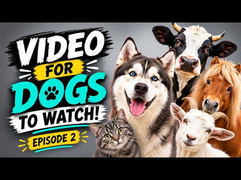 🐶 Dog TV Episode 2 | Sounds &amp; Animals for Dogs to Watch