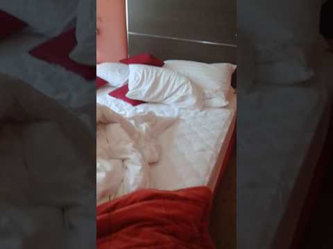 Hotel Starling Genève