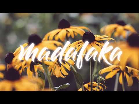 FUCKIN PROBLEM - ( PSKT ZK )