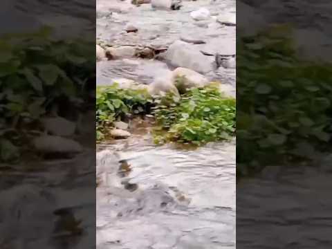 Casa Grande, Punilla, Córdoba, Argentina.#casagrande