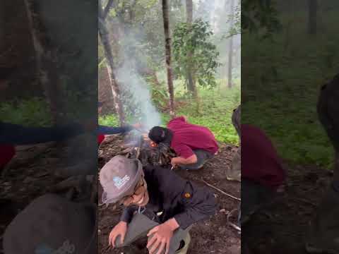Panen Kopi Arabica LPHD Wana Lestari di Hutan Desa Karangsalam Lor