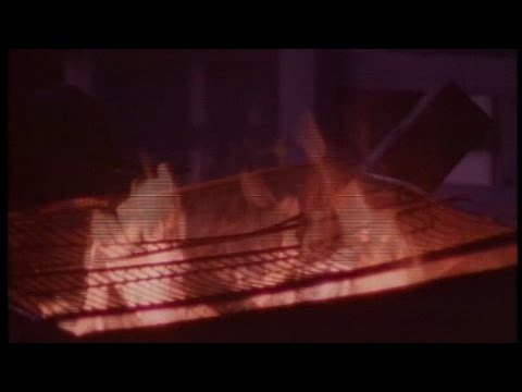 Vilain Pingouin - Les belles années