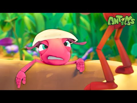 Mystery Mix | 1 Hour Antiks Full Episodes | Funny Insect Cartoons for Kids