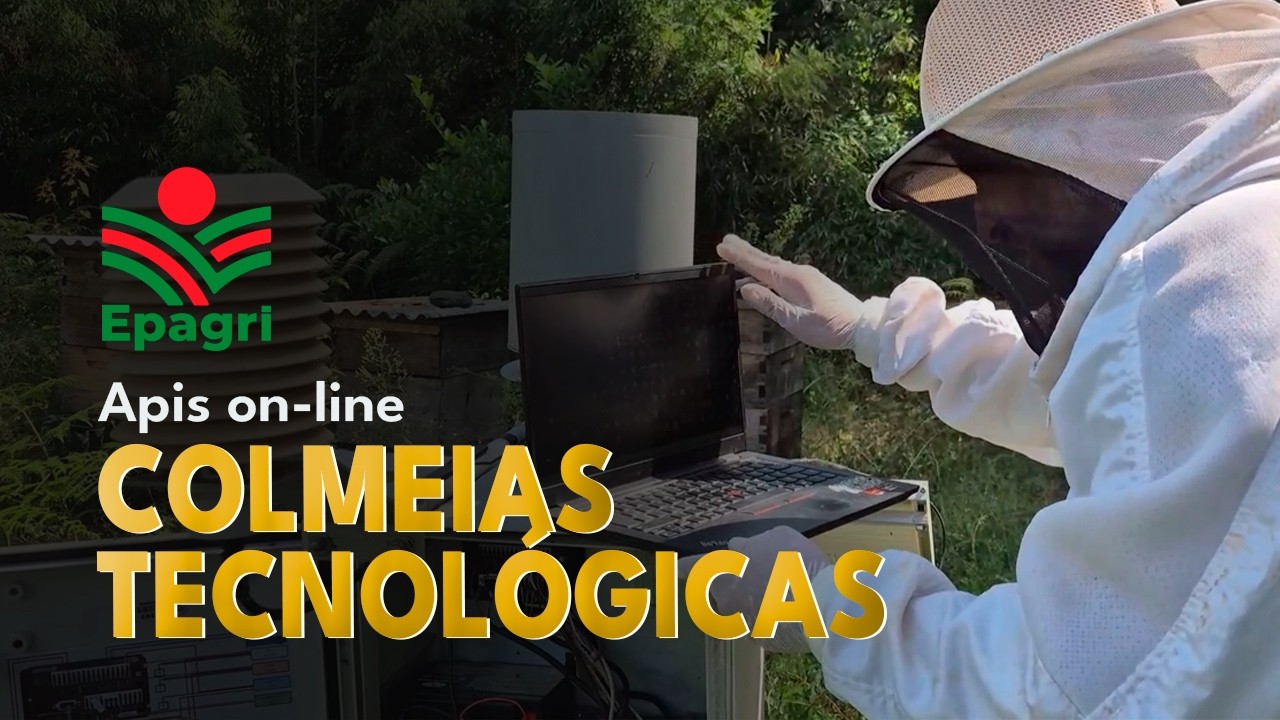 Monitoramento apícola: tecnologia e clima na produção de mel