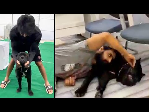 Actor Naga Shourya Playing With His Dog Boo | Manastars