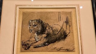 Rembrandt’ın 400 yıllık nadir aslan çizimi açık artırmaya çıkıyor