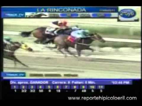 Resumen Sábado 11 de Junio 2011 -- La Rinconada