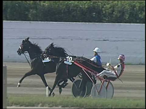 Trotto 25/06/2016 - 4° corsa