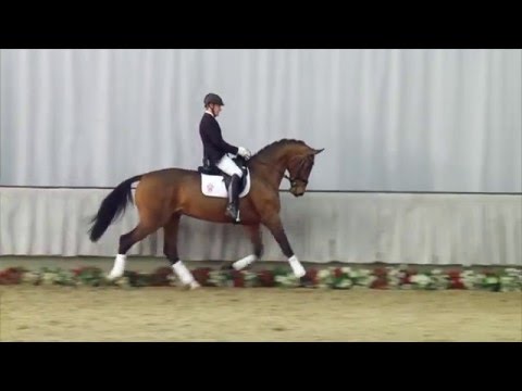 05 Bartolomeo Hengst v. Bordeaux - Jazz