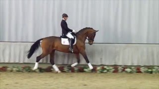Video di Barny 74