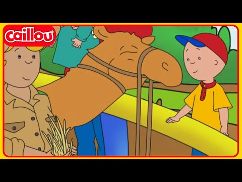 Caillous Kamelritt | Caillou Klassiker