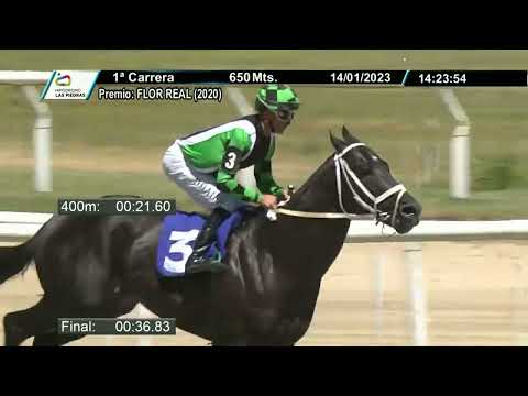 230114 c01 - KEEP RIGHT - HIPODROMO LAS PIEDRAS