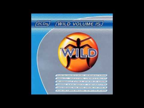 Wild Vol. 15 - Megamix by Victor Lopez