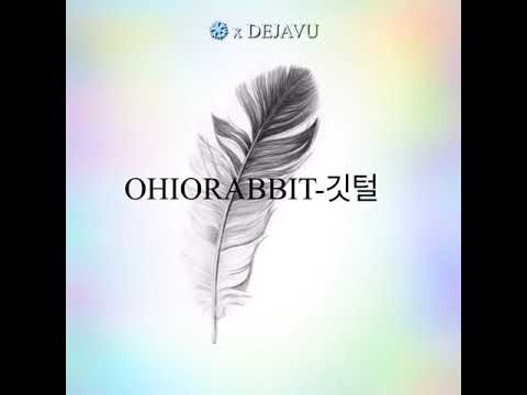 오하이오래빗 깃털