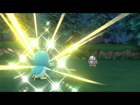 LIVE! Shiny Piplup dopo 238 resets in Pokémon Diamante Lucente