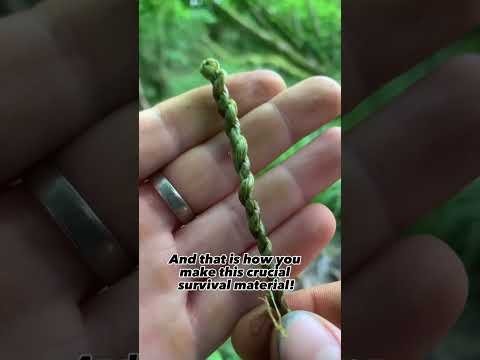 Stinging nettle cordage, one of the oldest tricks in the book!