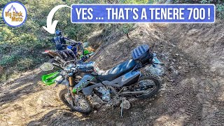 Yamaha Tenere 700 Where it Doesn't Belong / KLX300 Trail Ride (Ride-Along POV)