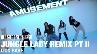 JUNGLE LADY REMIX PT II - LION BABE / 걸스힙합 입문반 / AMUSEMENT DANCE ACADEMY [ 부천댄스학원 어뮤즈먼트댄스 ]