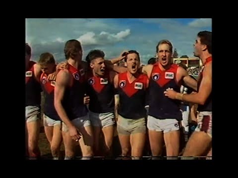 1990 AFL - West Coast Eagles v Melbourne - Round 20 - Subiaco