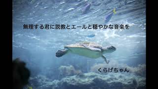 【男性向けボイス】無理する君に説教とエールと穏やかな音楽を【くらげちゃん】