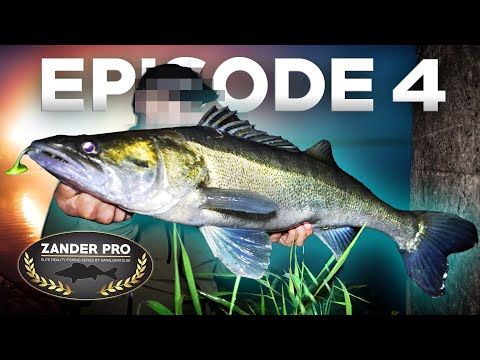 ZANDER PRO 2 - Episode 4 (Deutsche Untertitel)