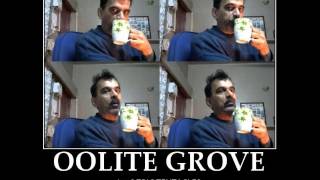 OOLITE GROVE by OZRIC TENTACLES !!!   fantastic keyboards, Sunny !!!